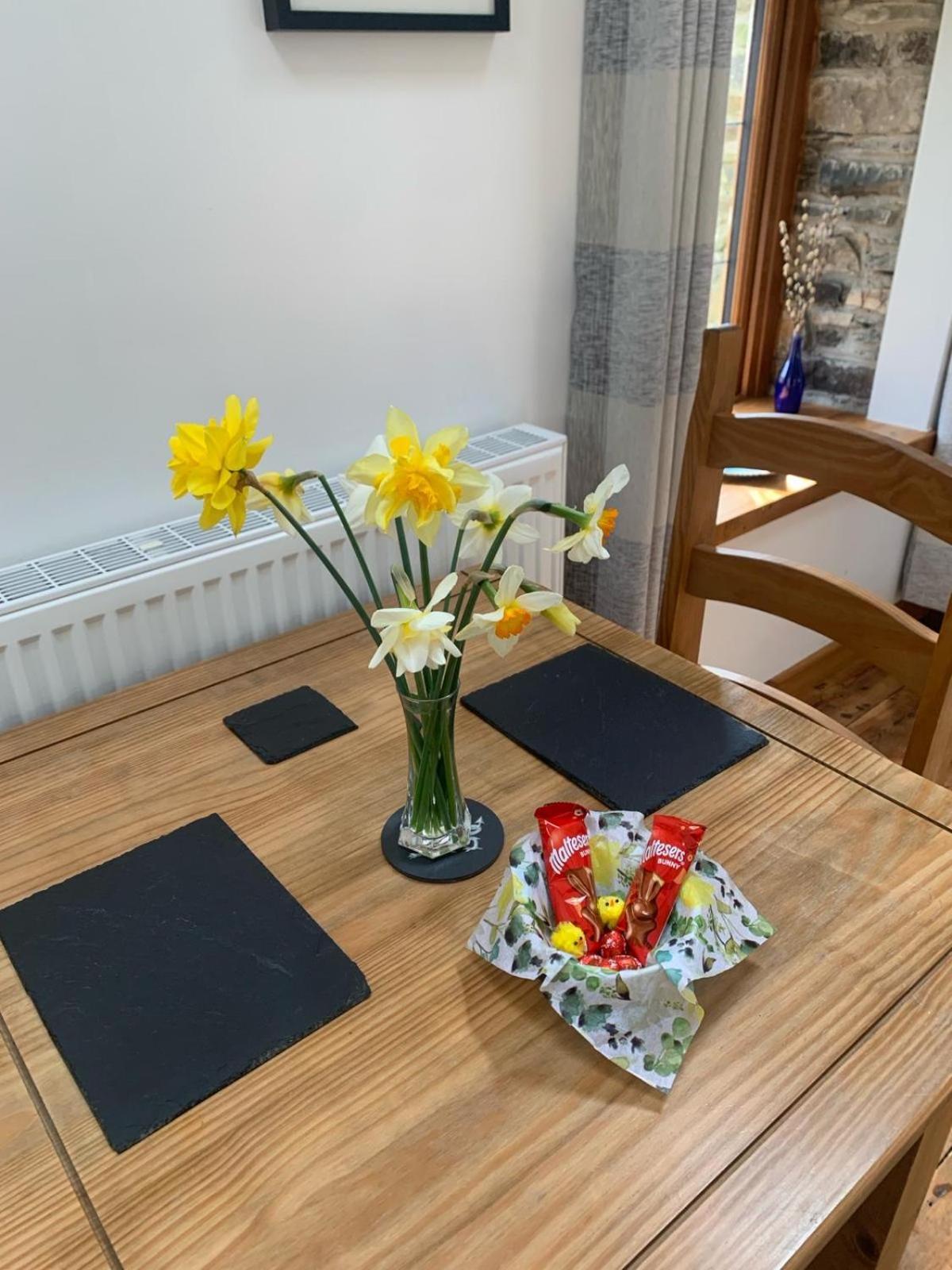 Tanyresgair Holiday home Aberystwyth
